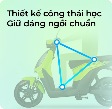 Ảnh 1