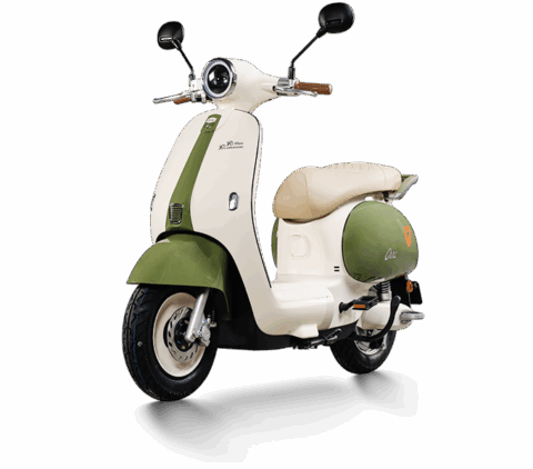 Thông điệp đầu xuân 2026 từ Chủ tịch Tập đoàn Yadea